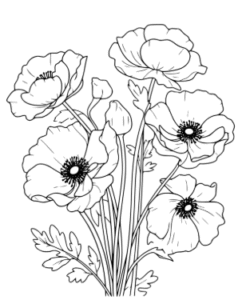 beautiful flower coloring pages .flower images