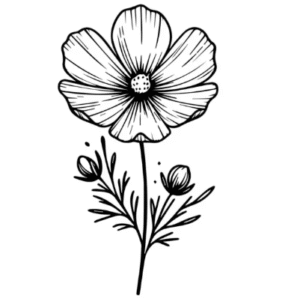 poppy, one poppy flower coloring pages,poppy flower with leafes coloring pages flower coloring pages